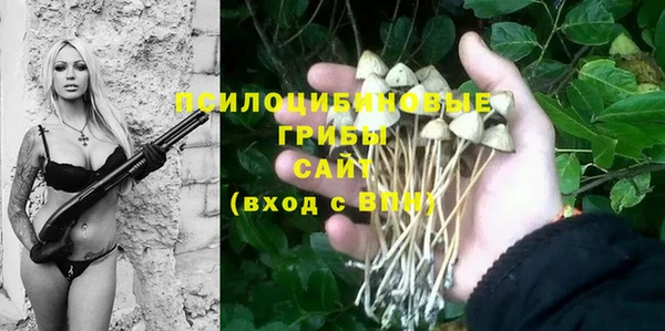 гидропоника Бугульма