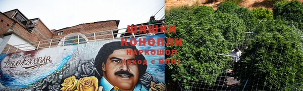 гидропоника Бугульма