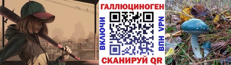 Галлюциногенные грибы Cubensis  Купить  Оленегорск 